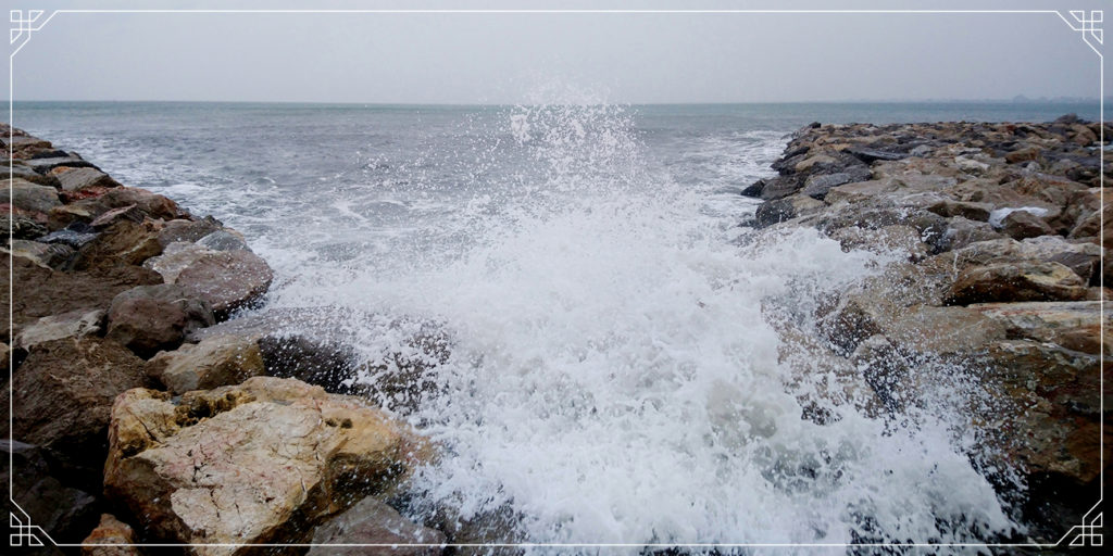 Camargue Landschaft bei Unwetter